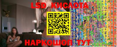 прущие грибы Изобильный