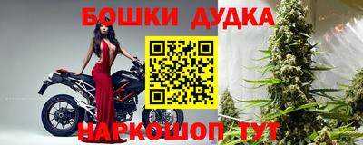 прущие грибы Изобильный