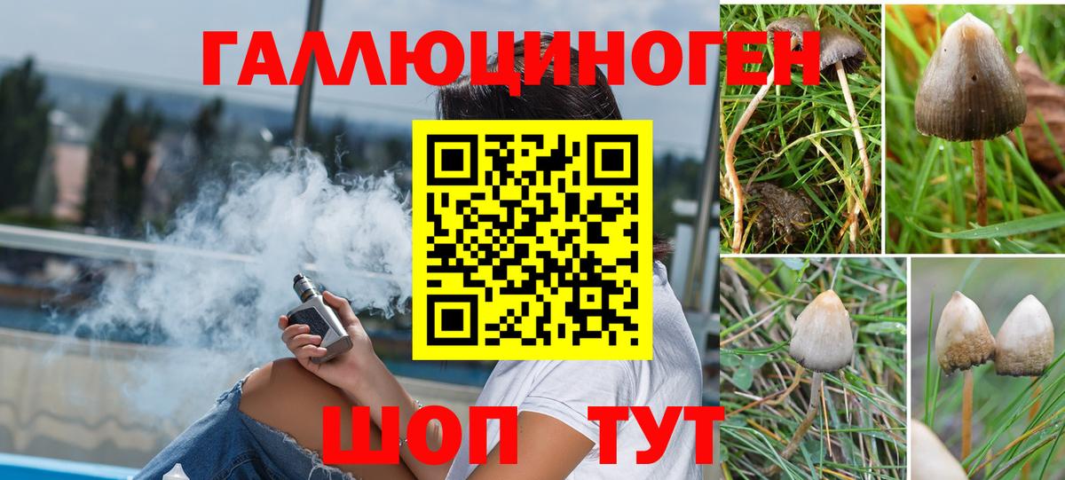 Галлюциногенные грибы ЛСД Хасавюрт