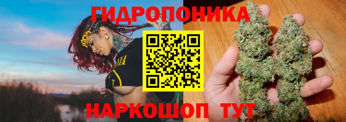 Бошки Шишки SATIVA & INDICA  Конопля планчик  Каннабис планчик  Вход с VPN  Хасавюрт  Каннабис White Widow 